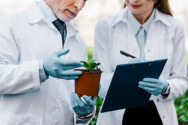 포토 JPG 서양인 외국인 식물 응시 여자 노년 남자 화분 잎 실내 실험 설명 들기 사람 상반신 20대 성인 두명 앞모습 펜 기록 실험복 일기 60대 생명공학 연구원 파일 체코 온실 국내포토 직업 시선 유럽 뷰포인트 의학 모션 인종 청년 내부 필기구 가운 파일형식