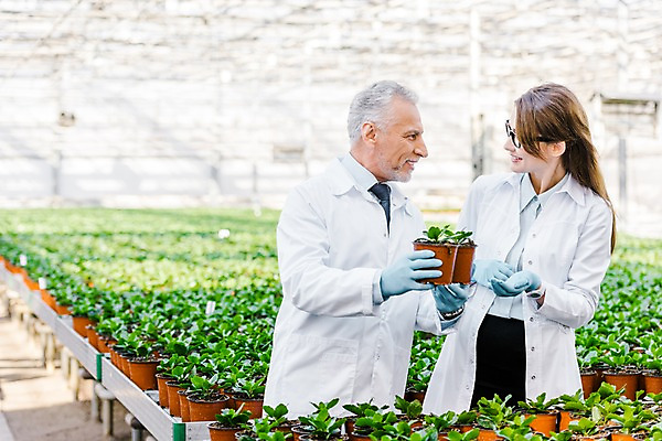 포토 JPG 서양인 외국인 식물 응시 여자 노년 남자 화분 실내 실험 미소 들기 사람 상반신 20대 성인 두명 앞모습 마주보기 실험복 60대 생명공학 연구원 체코 온실 국내포토 직업 시선 유럽 뷰포인트 의학 모션 표정 인종 청년 내부 가운 파일형식
