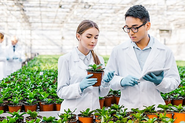 포토 JPG 서양인 외국인 식물 응시 여자 노년 남자 화분 실내 실험 서기 미소 들기 사람 동양인 여러명 상반신 20대 성인 앞모습 옆모습 태블릿 실험복 60대 생명공학 연구원 체코 온실 국내포토 직업 시선 유럽 뷰포인트 다수 의학 모션 표정 인종 청년 내부 전자제품 스마트기기 가운 파일형식