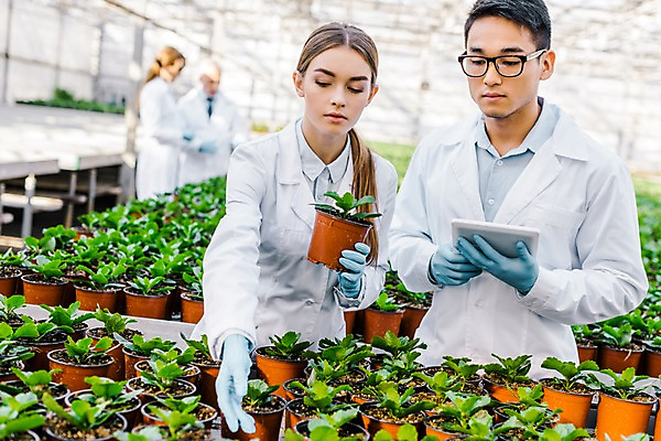 포토 JPG 서양인 외국인 식물 응시 여자 노년 남자 화분 실내 실험 서기 들기 사람 동양인 여러명 상반신 20대 성인 앞모습 옆모습 태블릿 잡기 실험복 60대 생명공학 연구원 체코 온실 국내포토 직업 시선 유럽 뷰포인트 다수 의학 모션 인종 청년 내부 전자제품 스마트기기 가운 파일형식