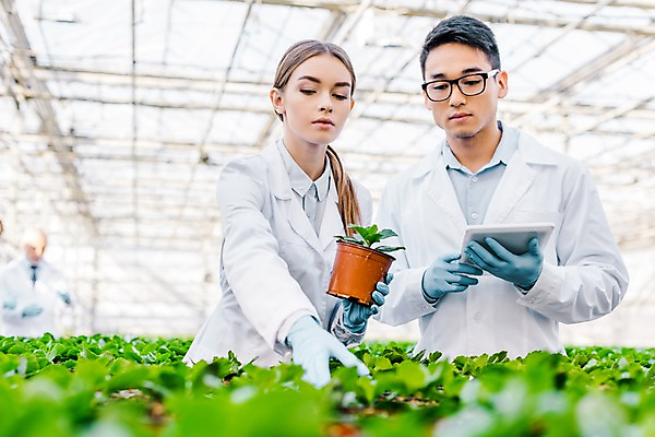 포토 JPG 서양인 외국인 식물 응시 여자 노년 남자 화분 실내 실험 서기 들기 사람 동양인 상반신 20대 성인 앞모습 옆모습 세명 태블릿 잡기 실험복 60대 생명공학 연구원 체코 온실 국내포토 직업 시선 유럽 뷰포인트 의학 모션 인종 청년 내부 전자제품 스마트기기 가운 파일형식
