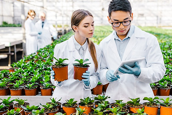 포토 JPG 서양인 외국인 응시 여자 노년 남자 화분 실내 실험 들기 사람 동양인 여러명 상반신 20대 성인 앞모습 옆모습 태블릿 실험복 60대 생명공학 연구원 확인 체코 온실 국내포토 직업 시선 유럽 뷰포인트 다수 의학 모션 인종 청년 내부 전자제품 스마트기기 가운 파일형식