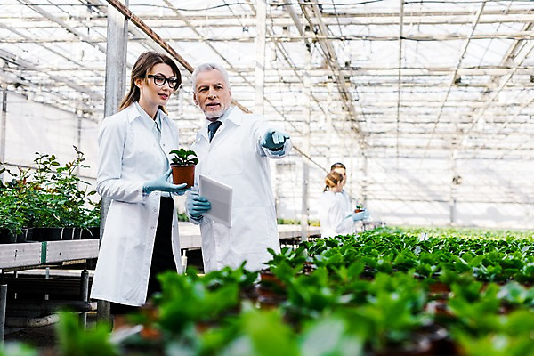 포토 JPG 서양인 외국인 응시 여자 노년 남자 화분 실내 실험 설명 서기 미소 들기 사람 동양인 여러명 상반신 20대 성인 앞모습 옆모습 태블릿 가리킴 실험복 60대 생명공학 연구원 체코 온실 국내포토 직업 시선 유럽 뷰포인트 다수 의학 모션 표정 인종 손짓 청년 내부 전자제품 스마트기기 가운 파일형식