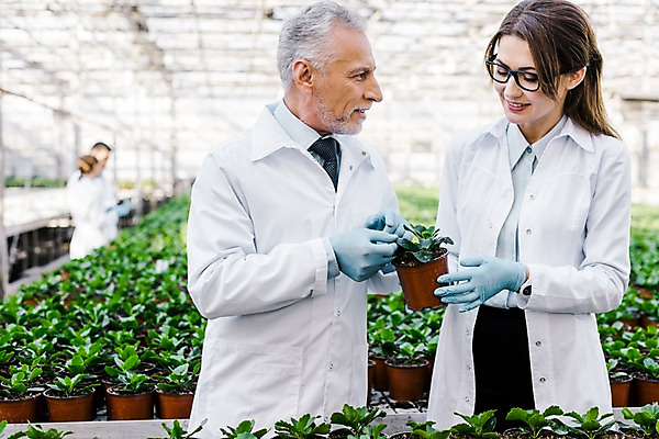 포토 JPG 서양인 외국인 식물 응시 여자 노년 남자 화분 실내 실험 서기 미소 들기 사람 동양인 여러명 상반신 20대 성인 앞모습 옆모습 실험복 60대 생명공학 연구원 체코 온실 국내포토 직업 시선 유럽 뷰포인트 다수 의학 모션 표정 인종 청년 내부 가운 파일형식