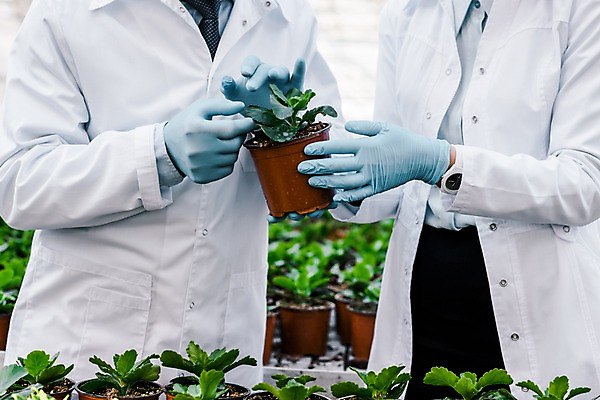 포토 JPG 서양인 외국인 여자 노년 남자 화분 실내 실험 들기 사람 상반신 20대 성인 두명 앞모습 신체부위 양손 관찰 실험복 60대 생명공학 연구원 체코 온실 국내포토 직업 손 유럽 뷰포인트 의학 모션 인종 청년 내부 가운 파일형식