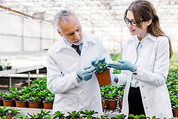 포토 JPG 서양인 외국인 응시 여자 노년 남자 화분 잎 실내 실험 미소 들기 사람 상반신 20대 성인 두명 앞모습 관찰 실험복 60대 생명공학 연구원 체코 온실 국내포토 식물 직업 시선 유럽 뷰포인트 의학 모션 표정 인종 청년 내부 가운 파일형식