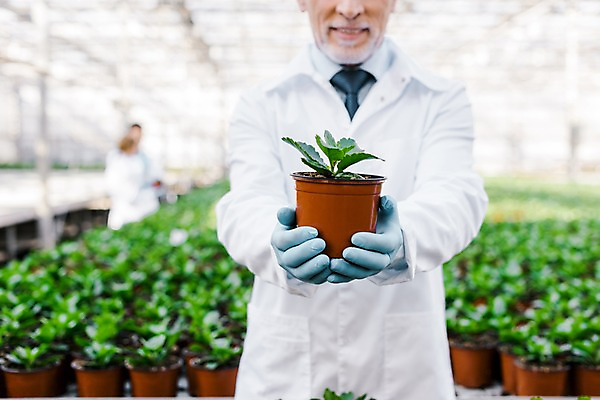 포토 JPG 서양인 외국인 식물 응시 여자 노년 남자 화분 잎 실내 실험 서기 미소 들기 사람 상반신 20대 성인 앞모습 옆모습 세명 실험복 60대 생명공학 연구원 손내밀기 체코 온실 국내포토 직업 시선 유럽 뷰포인트 의학 모션 표정 인종 손짓 청년 내부 가운 파일형식