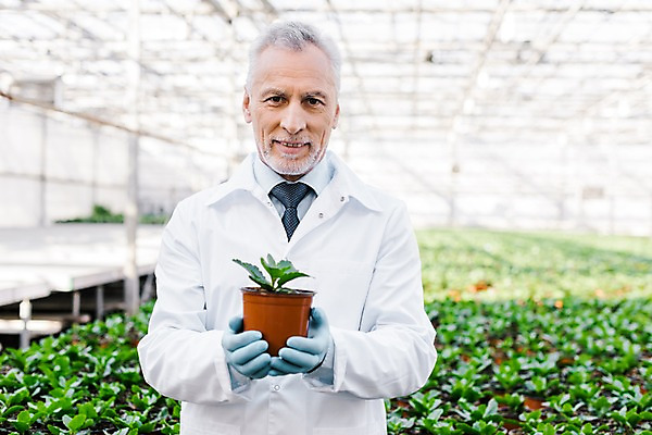 포토 JPG 서양인 외국인 식물 노년 남자 화분 잎 실내 실험 한명 서기 미소 들기 사람 상반신 앞모습 실험복 60대 생명공학 연구원 체코 온실 노인남자한명만 국내포토 직업 1 유럽 뷰포인트 의학 모션 표정 인종 성인 내부 가운 남자한명만 노인남자만 파일형식