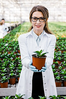 포토 JPG 서양인 외국인 식물 응시 여자 화분 잎 실내 실험 한명 미소 들기 사람 상반신 20대 성인 앞모습 실험복 생명공학 연구원 체코 온실 성인여자한명만 안경낌 국내포토 직업 1 시선 유럽 안경 뷰포인트 의학 모션 표정 인종 청년 내부 가운 여자한명만 성인여자만 파일형식
