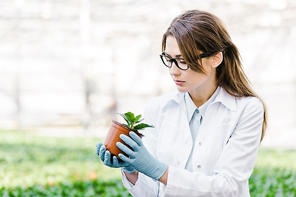 포토 JPG 서양인 외국인 식물 응시 여자 화분 잎 실내 실험 한명 서기 들기 사람 근접촬영 상반신 20대 성인 앞모습 실험복 생명공학 연구원 체코 온실 성인여자한명만 국내포토 직업 1 시선 유럽 뷰포인트 의학 모션 인종 청년 내부 가운 여자한명만 성인여자만 파일형식