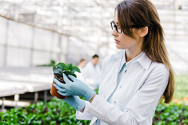 포토 JPG 서양인 외국인 식물 응시 여자 화분 잎 실내 실험 한명 들기 사람 상반신 20대 성인 옆모습 실험복 생명공학 연구원 체코 온실 성인여자한명만 안경낌 국내포토 직업 1 시선 유럽 안경 뷰포인트 의학 모션 인종 청년 내부 가운 여자한명만 성인여자만 파일형식