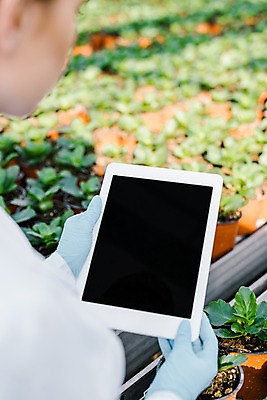 포토 JPG 서양인 외국인 식물 응시 여자 화분 실내 실험 한명 서기 들기 사람 상반신 20대 성인 옆모습 태블릿 실험복 생명공학 연구원 체코 성인여자한명만 국내포토 직업 1 시선 유럽 뷰포인트 의학 모션 인종 청년 내부 전자제품 스마트기기 가운 여자한명만 성인여자만 파일형식