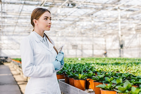 포토 JPG 서양인 외국인 식물 응시 여자 화분 잎 실내 실험 한명 서기 들기 사람 상반신 20대 성인 옆모습 태블릿 실험복 생명공학 연구원 체코 온실 성인여자한명만 국내포토 직업 1 시선 유럽 뷰포인트 의학 모션 인종 청년 내부 전자제품 스마트기기 가운 여자한명만 성인여자만 파일형식