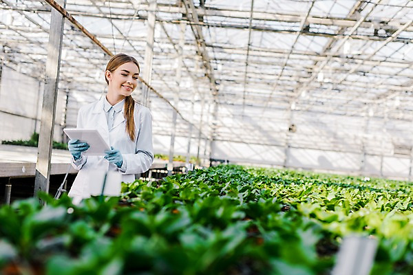 포토 JPG 서양인 외국인 식물 응시 여자 화분 잎 실내 실험 한명 미소 들기 사람 상반신 20대 성인 앞모습 태블릿 실험복 생명공학 연구원 체코 온실 성인여자한명만 국내포토 직업 1 시선 유럽 뷰포인트 의학 모션 표정 인종 청년 내부 전자제품 스마트기기 가운 여자한명만 성인여자만 파일형식