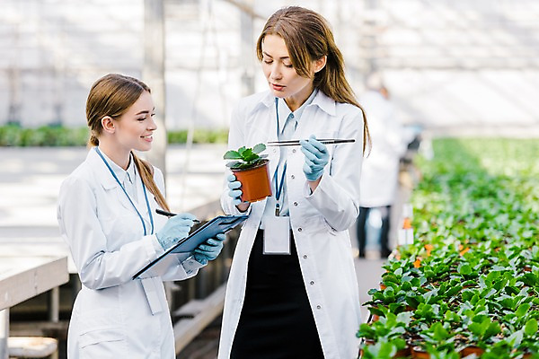 포토 JPG 서양인 외국인 응시 여자 화분 실내 실험 미소 사람 상반신 20대 성인 두명 앞모습 옆모습 펜 기록 실험복 생명공학 연구원 파일 체코 핀셋 온실 성인여자만 국내포토 직업 시선 유럽 뷰포인트 의학 표정 인종 청년 내부 필기구 도구 가운 여자만 성인만 파일형식