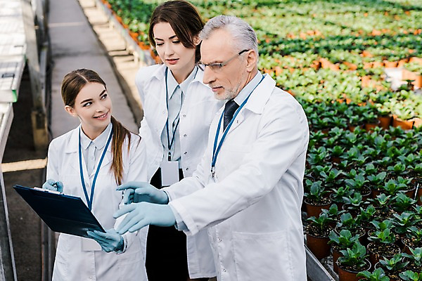 포토 JPG 서양인 외국인 식물 응시 여자 노년 남자 화분 실내 실험 서기 미소 사람 손짓 상반신 20대 성인 앞모습 옆모습 세명 가리킴 실험복 60대 생명공학 연구원 확인 파일 체코 온실 국내포토 직업 시선 유럽 뷰포인트 의학 모션 표정 인종 청년 내부 가운 파일형식