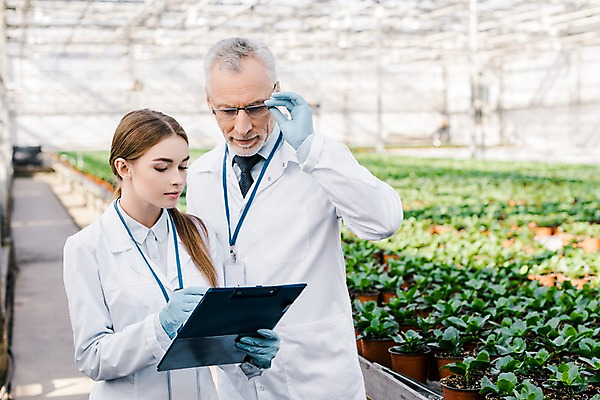 포토 JPG 서양인 외국인 식물 응시 여자 노년 남자 화분 잎 실내 실험 서기 사람 상반신 20대 성인 두명 앞모습 가리킴 실험복 60대 생명공학 연구원 확인 파일 체코 온실 국내포토 직업 시선 유럽 뷰포인트 의학 모션 인종 손짓 청년 내부 가운 파일형식