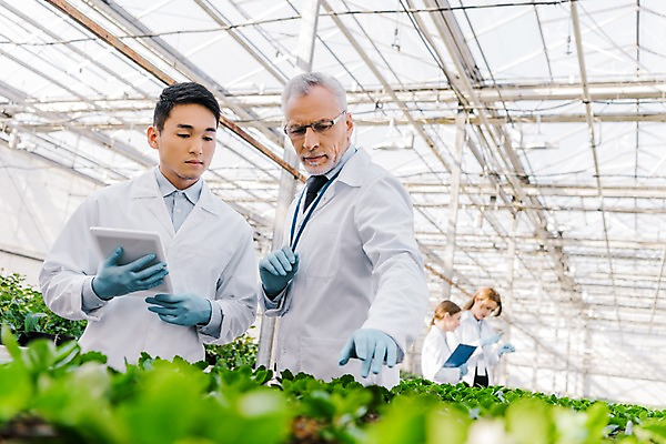 포토 JPG 서양인 외국인 식물 응시 여자 노년 남자 화분 실내 실험 서기 사람 동양인 손짓 여러명 상반신 20대 성인 앞모습 옆모습 태블릿 가리킴 관찰 실험복 60대 생명공학 연구원 체코 온실 국내포토 직업 시선 유럽 뷰포인트 다수 의학 모션 인종 청년 내부 전자제품 스마트기기 가운 파일형식