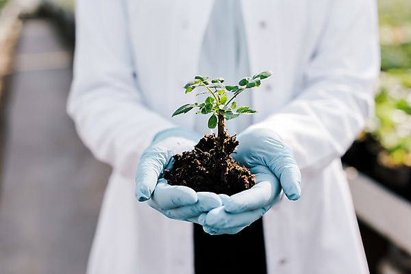 포토 JPG 서양인 외국인 식물 여자 잎 실내 실험 한명 서기 사람 상반신 20대 성인 앞모습 신체부위 흙 양손 실험복 생명공학 연구원 체코 온실 성인여자한명만 국내포토 직업 1 손 유럽 뷰포인트 의학 모션 인종 청년 내부 가운 여자한명만 성인여자만 파일형식