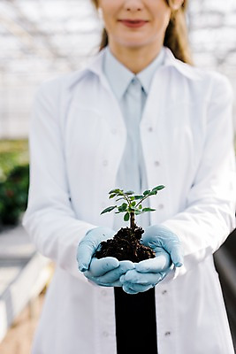 포토 JPG 서양인 외국인 식물 응시 여자 잎 실내 실험 한명 서기 미소 사람 상반신 20대 성인 앞모습 신체부위 흙 양손 실험복 생명공학 연구원 체코 온실 성인여자한명만 국내포토 직업 1 손 시선 유럽 뷰포인트 의학 모션 표정 인종 청년 내부 가운 여자한명만 성인여자만 파일형식