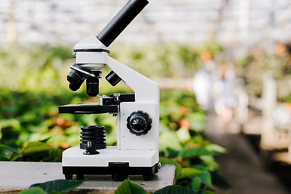 포토 JPG 식물 화분 실내 현미경 실험 근접촬영 사람없음 생명공학 체코 온실 국내포토 유럽 뷰포인트 의학 실험기구 내부 파일형식