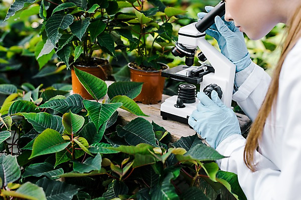 포토 JPG 서양인 외국인 식물 응시 여자 화분 잎 실내 현미경 실험 한명 사람 근접촬영 상반신 20대 성인 옆모습 관찰 실험복 생명공학 연구원 체코 온실 성인여자한명만 국내포토 직업 1 시선 유럽 뷰포인트 의학 모션 실험기구 인종 청년 내부 가운 여자한명만 성인여자만 파일형식