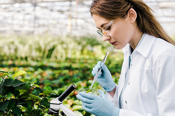포토 JPG 서양인 외국인 식물 응시 여자 화분 잎 실내 현미경 실험 한명 사람 상반신 20대 성인 옆모습 잡기 실험복 생명공학 연구원 체코 핀셋 보안경 온실 성인여자한명만 국내포토 직업 1 시선 유럽 뷰포인트 의학 모션 실험기구 인종 청년 내부 도구 가운 안전장비 여자한명만 성인여자만 파일형식