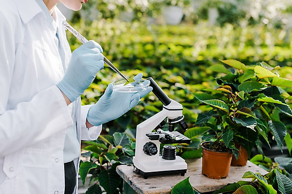 포토 JPG 서양인 외국인 식물 여자 화분 잎 실내 현미경 실험 한명 사람 상반신 20대 성인 옆모습 실험복 생명공학 연구원 체코 핀셋 온실 성인여자한명만 국내포토 직업 1 유럽 뷰포인트 의학 실험기구 인종 청년 내부 도구 가운 여자한명만 성인여자만 파일형식