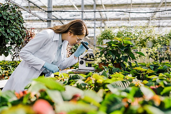 포토 JPG 서양인 외국인 식물 응시 여자 화분 잎 실내 현미경 실험 한명 사람 상반신 20대 성인 옆모습 관찰 실험복 생명공학 연구원 체코 보안경 온실 성인여자한명만 국내포토 직업 1 시선 유럽 뷰포인트 의학 모션 실험기구 인종 청년 내부 가운 안전장비 여자한명만 성인여자만 파일형식