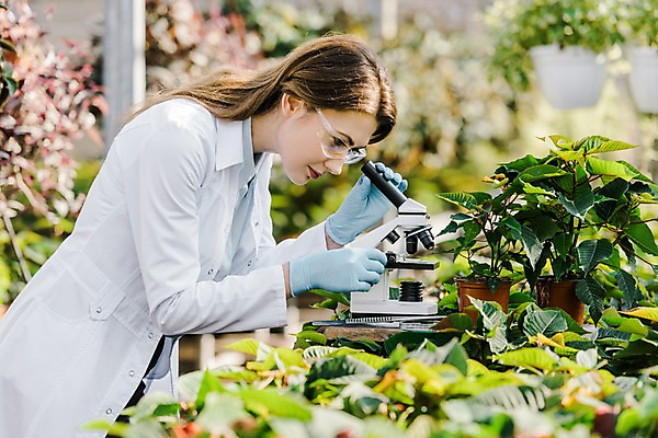 포토 JPG 서양인 외국인 식물 응시 여자 화분 잎 실내 현미경 실험 한명 서기 사람 상반신 20대 성인 옆모습 관찰 실험복 생명공학 연구원 체코 보안경 온실 성인여자한명만 국내포토 직업 1 시선 유럽 뷰포인트 의학 모션 실험기구 인종 청년 내부 가운 안전장비 여자한명만 성인여자만 파일형식