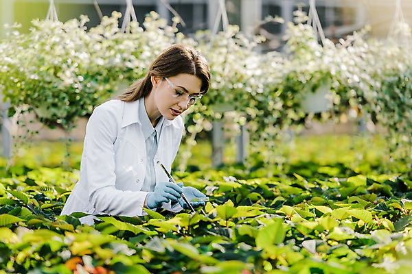 포토 JPG 서양인 외국인 식물 응시 여자 화분 잎 실내 실험 한명 서기 사람 상반신 20대 성인 옆모습 잡기 실험복 생명공학 연구원 체코 핀셋 보안경 온실 성인여자한명만 국내포토 직업 1 시선 유럽 뷰포인트 의학 모션 인종 청년 내부 도구 가운 안전장비 여자한명만 성인여자만 파일형식
