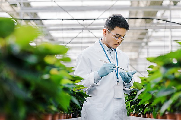 포토 JPG 외국인 식물 응시 남자 화분 잎 실내 실험 한명 서기 사람 동양인 상반신 20대 성인 앞모습 관찰 잡기 실험복 생명공학 연구원 체코 핀셋 보안경 온실 성인남자한명만 국내포토 직업 1 시선 유럽 뷰포인트 의학 모션 인종 청년 내부 도구 가운 안전장비 남자한명만 성인남자만 파일형식