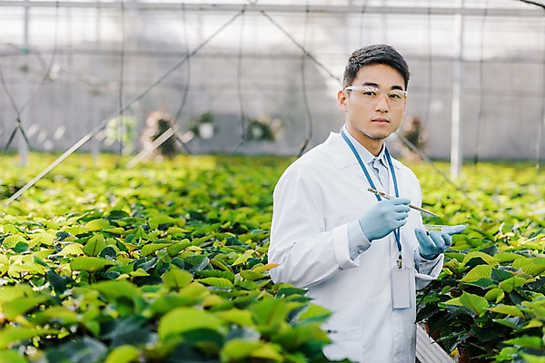포토 JPG 외국인 식물 응시 남자 잎 실내 실험기구 실험 한명 서기 사람 동양인 상반신 20대 성인 옆모습 실험복 생명공학 연구원 체코 핀셋 보안경 온실 성인남자한명만 국내포토 직업 1 시선 유럽 뷰포인트 과학 의학 모션 인종 청년 내부 도구 가운 안전장비 남자한명만 성인남자만 파일형식