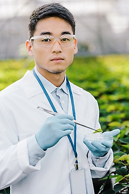 포토 JPG 외국인 식물 응시 남자 잎 실내 실험기구 실험 한명 서기 사람 동양인 상반신 20대 성인 앞모습 실험복 생명공학 연구원 체코 핀셋 보안경 온실 성인남자한명만 국내포토 직업 1 시선 유럽 뷰포인트 과학 의학 모션 인종 청년 내부 도구 가운 안전장비 남자한명만 성인남자만 파일형식