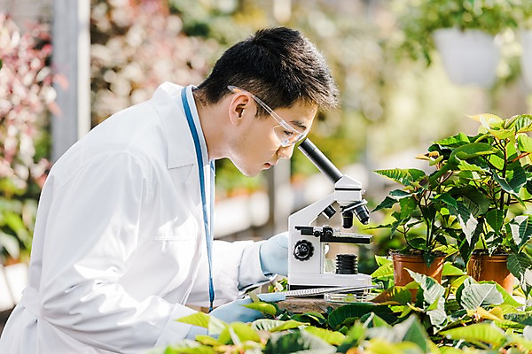 포토 JPG 외국인 식물 응시 남자 화분 잎 실내 현미경 실험 한명 서기 사람 동양인 상반신 20대 성인 옆모습 관찰 실험복 생명공학 연구원 체코 핀셋 보안경 온실 성인남자한명만 국내포토 직업 1 시선 유럽 뷰포인트 의학 모션 실험기구 인종 청년 내부 도구 가운 안전장비 남자한명만 성인남자만 파일형식