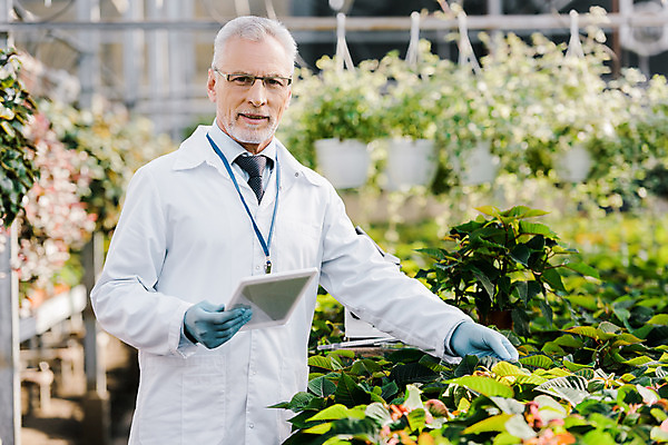 포토 JPG 서양인 외국인 식물 응시 노년 남자 화분 잎 실내 실험 한명 서기 미소 사람 상반신 앞모습 태블릿 만지기 실험복 60대 생명공학 연구원 체코 온실 노인남자한명만 안경낌 국내포토 직업 1 시선 유럽 안경 뷰포인트 의학 모션 표정 인종 성인 내부 전자제품 스마트기기 가운 남자한명만 노인남자만 파일형식