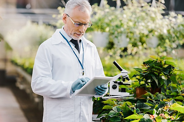 포토 JPG 서양인 외국인 식물 응시 노년 남자 화분 잎 실내 현미경 실험 한명 서기 미소 사람 상반신 앞모습 태블릿 실험복 60대 생명공학 연구원 체코 온실 노인남자한명만 국내포토 직업 1 시선 유럽 뷰포인트 의학 모션 표정 실험기구 인종 성인 내부 전자제품 스마트기기 가운 남자한명만 노인남자만 파일형식