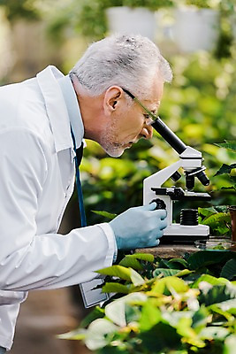 포토 JPG 서양인 외국인 식물 응시 노년 남자 잎 실내 현미경 실험 한명 서기 사람 상반신 옆모습 관찰 잡기 실험복 60대 생명공학 연구원 체코 온실 노인남자한명만 국내포토 직업 1 시선 유럽 뷰포인트 의학 모션 실험기구 인종 성인 내부 가운 남자한명만 노인남자만 파일형식