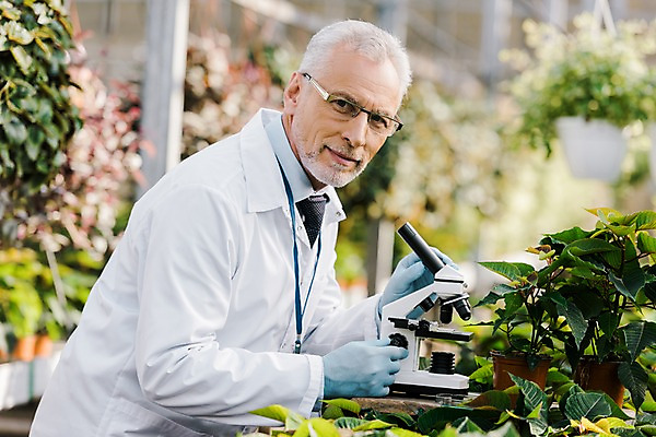 포토 JPG 서양인 외국인 식물 응시 노년 남자 화분 잎 실내 현미경 실험 한명 서기 미소 사람 상반신 옆모습 잡기 실험복 60대 생명공학 연구원 체코 온실 노인남자한명만 국내포토 직업 1 시선 유럽 뷰포인트 의학 모션 표정 실험기구 인종 성인 내부 가운 남자한명만 노인남자만 파일형식