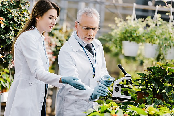 포토 JPG 서양인 외국인 식물 응시 여자 노년 남자 잎 실내 현미경 실험 서기 미소 사람 손짓 상반신 20대 성인 두명 옆모습 실험복 60대 생명공학 연구원 체코 핀셋 온실 국내포토 직업 시선 유럽 뷰포인트 의학 모션 표정 실험기구 인종 청년 내부 도구 가운 파일형식