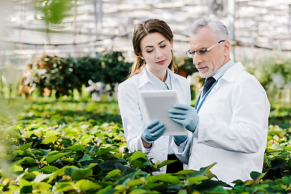 포토 JPG 서양인 외국인 식물 응시 여자 노년 남자 잎 실내 실험 서기 사람 상반신 20대 성인 두명 옆모습 잡기 실험복 60대 생명공학 연구원 문서 파일 체코 온실 국내포토 직업 시선 유럽 뷰포인트 의학 모션 인종 청년 내부 가운 파일형식