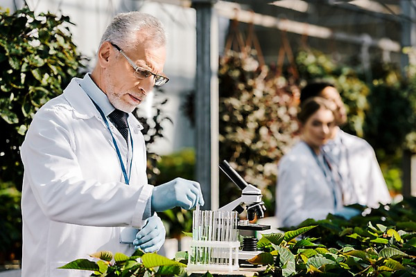 포토 JPG 서양인 외국인 응시 여자 노년 남자 화분 잎 실내 현미경 실험 사람 동양인 상반신 20대 성인 옆모습 세명 관찰 60대 생명공학 연구원 스포이트 시험관 용액 체코 국내포토 식물 직업 시선 유럽 뷰포인트 의학 모션 실험기구 인종 청년 내부 피펫 파일형식