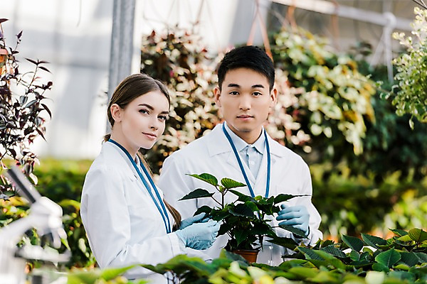포토 JPG 서양인 외국인 식물 응시 여자 남자 화분 잎 실내 실험 서기 들기 사람 동양인 상반신 20대 성인 두명 앞모습 옆모습 실험복 생명공학 연구원 체코 온실 성인만 국내포토 직업 시선 유럽 뷰포인트 의학 모션 인종 청년 내부 가운 파일형식