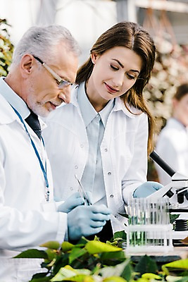 포토 JPG 서양인 외국인 식물 응시 여자 노년 남자 화분 잎 실내 현미경 실험 서기 미소 사람 상반신 20대 성인 두명 앞모습 옆모습 실험복 60대 생명공학 연구원 스포이트 용액 체코 핀셋 온실 안경낌 국내포토 직업 시선 유럽 안경 뷰포인트 의학 모션 표정 실험기구 인종 청년 내부 도구 가운 피펫 파일형식