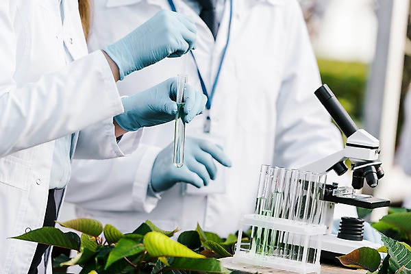 포토 JPG 서양인 외국인 식물 여자 노년 남자 잎 실내 현미경 실험 서기 근접촬영 상반신 20대 성인 두명 앞모습 옆모습 신체부위 양손 실험복 60대 생명공학 연구원 스포이트 시험관 용액 체코 온실 국내포토 직업 손 유럽 뷰포인트 의학 모션 실험기구 사람 인종 청년 내부 가운 피펫 파일형식