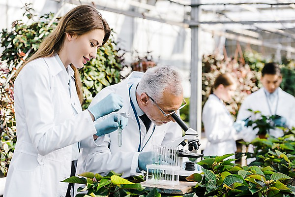 포토 JPG 서양인 외국인 식물 여자 노년 남자 잎 실내 현미경 실험 서기 미소 사람 동양인 여러명 상반신 20대 성인 앞모습 옆모습 관찰 실험복 60대 생명공학 연구원 스포이트 시험관 용액 체코 온실 국내포토 직업 유럽 뷰포인트 다수 의학 모션 표정 실험기구 인종 청년 내부 가운 피펫 파일형식