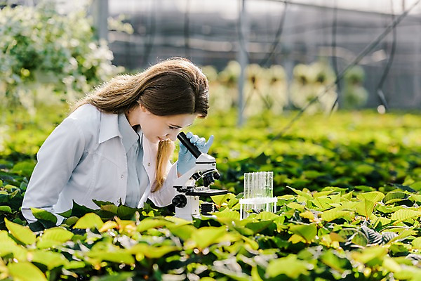 포토 JPG 서양인 외국인 식물 응시 여자 잎 실내 현미경 실험 숙이기 한명 사람 상반신 20대 성인 옆모습 관찰 잡기 실험복 생명공학 연구원 시험관 체코 온실 성인여자한명만 국내포토 직업 1 시선 유럽 뷰포인트 포즈 의학 모션 실험기구 인종 청년 내부 가운 여자한명만 성인여자만 파일형식