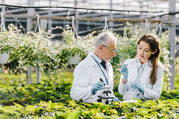 포토 JPG 서양인 외국인 식물 응시 여자 노년 남자 잎 실내 현미경 실험 서기 미소 사람 상반신 성인 두명 앞모습 옆모습 잡기 실험복 60대 생명공학 연구원 스포이트 시험관 용액 체코 온실 국내포토 직업 시선 유럽 뷰포인트 의학 모션 표정 실험기구 인종 내부 가운 피펫 파일형식