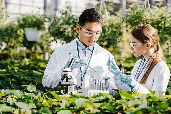 포토 JPG 서양인 외국인 식물 응시 여자 남자 잎 실내 현미경 실험기구 실험 서기 사람 동양인 상반신 20대 성인 두명 앞모습 옆모습 생명공학 연구원 시험관 체코 핀셋 보안경 온실 성인만 국내포토 직업 시선 유럽 뷰포인트 과학 의학 모션 인종 청년 내부 도구 안전장비 파일형식