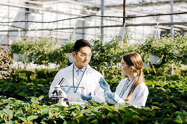 포토 JPG 서양인 외국인 식물 응시 여자 남자 잎 실내 현미경 실험기구 실험 미소 사람 동양인 상반신 20대 성인 두명 앞모습 옆모습 마주보기 실험복 생명공학 연구원 시험관 체코 핀셋 보안경 온실 성인만 국내포토 직업 시선 유럽 뷰포인트 과학 의학 모션 표정 인종 청년 내부 도구 가운 안전장비 파일형식